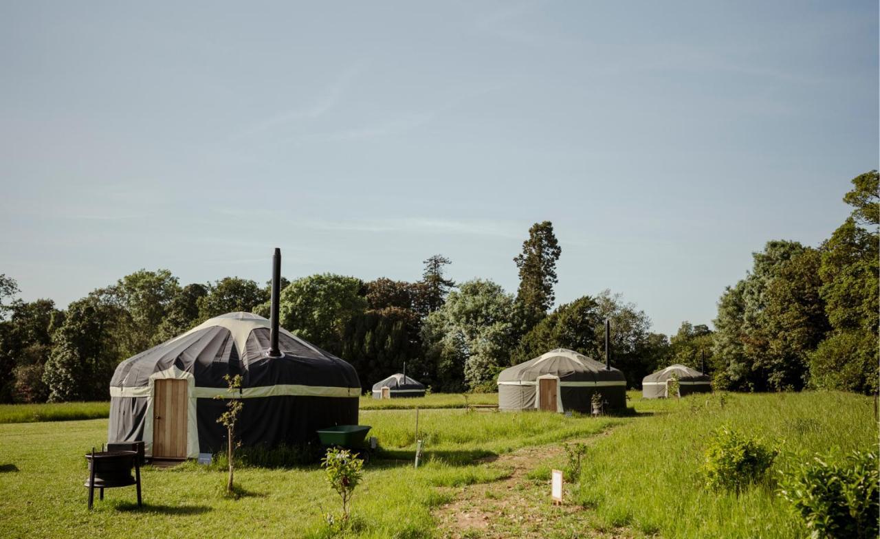Wild Meadow, Lodge Farm, East Raynham Fakenham Exterior foto