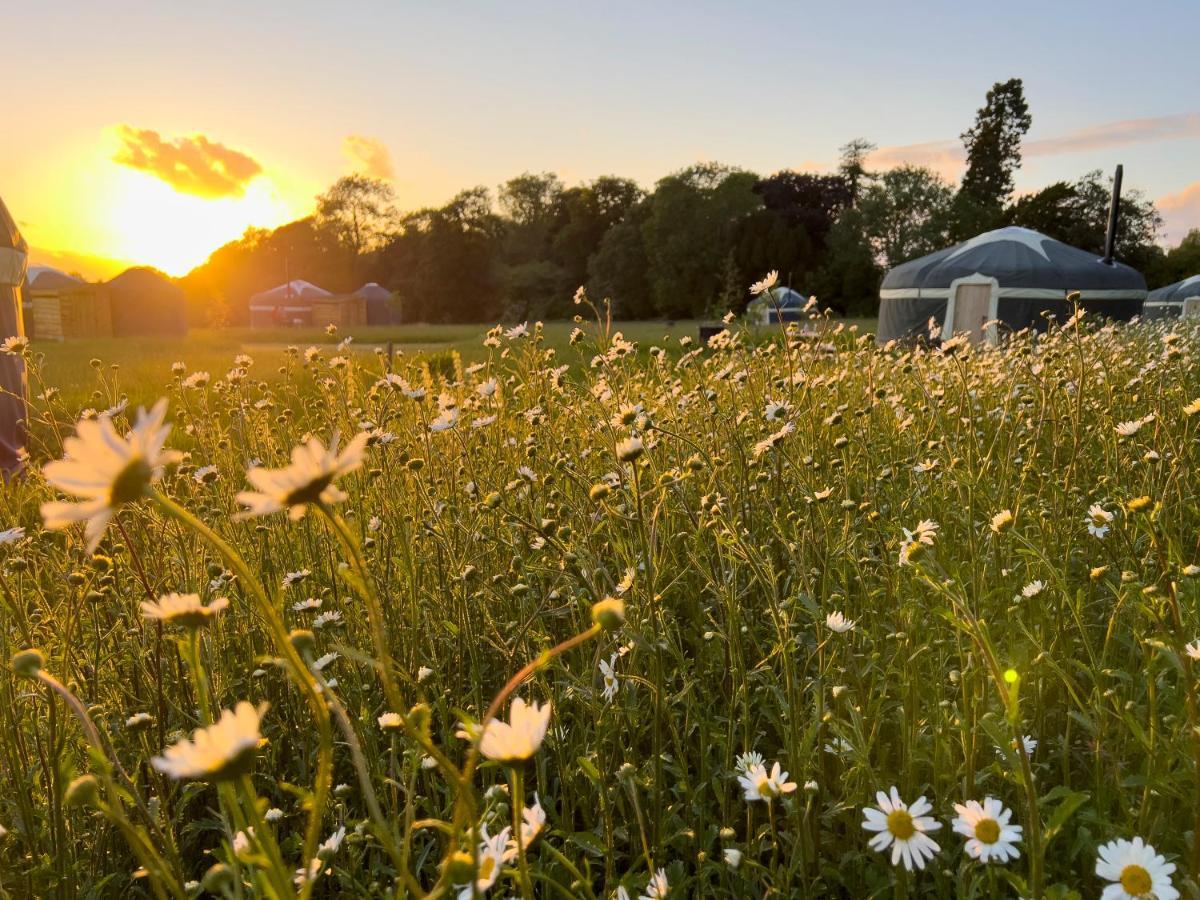 Wild Meadow, Lodge Farm, East Raynham Fakenham Exterior foto